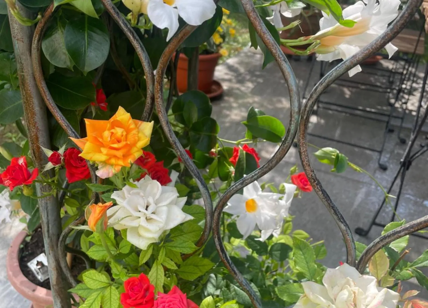 Il Casale Del Magra Hotel Ameglia
