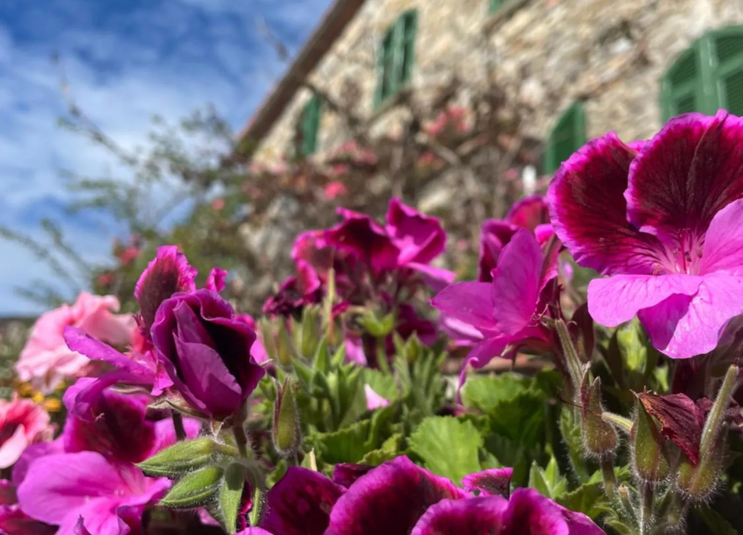 Il Casale Del Magra Hotel Ameglia